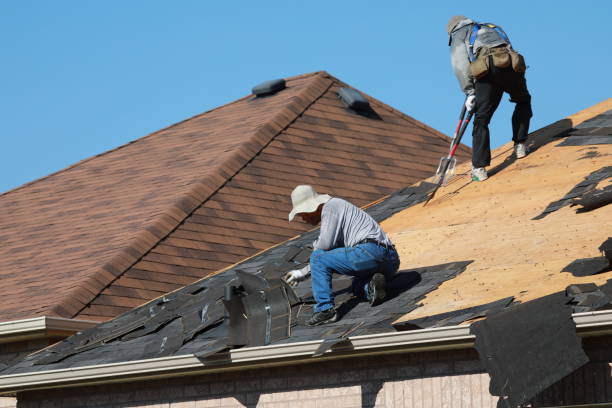 Best Roof Ventilation Installation  in Ofallon, IL