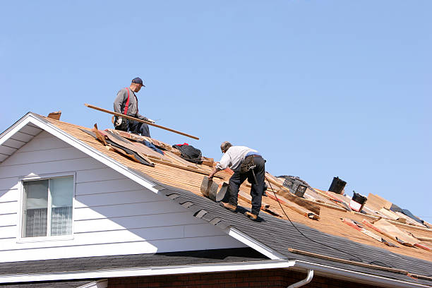 Best Gutter Installation and Repair  in Ofallon, IL